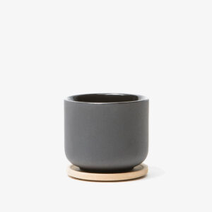 Theo Mug W Coaster - Image 2