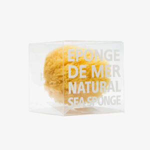 Natural Sea Sponge - Image 3
